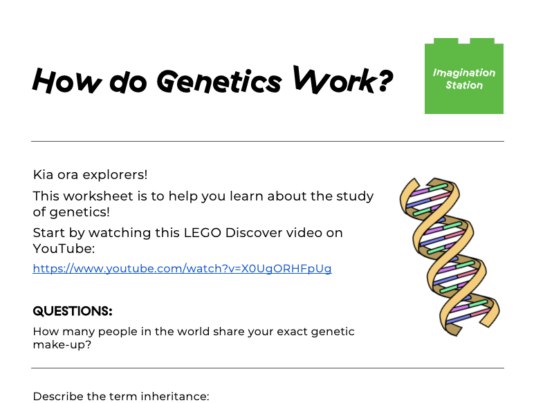 How do Genetics Work? at Imagination Station